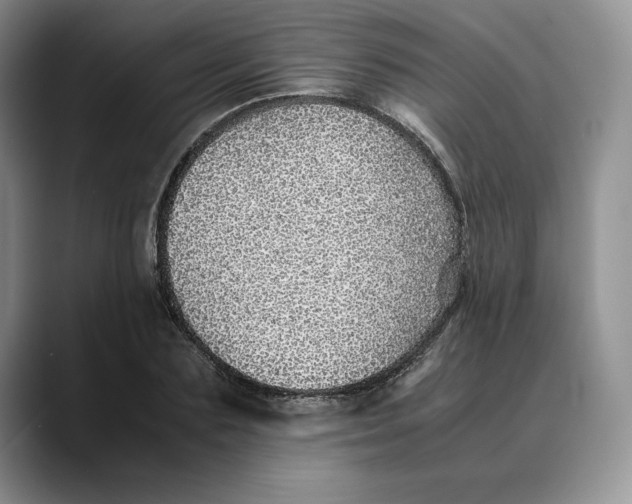 X0000088420883200706121430