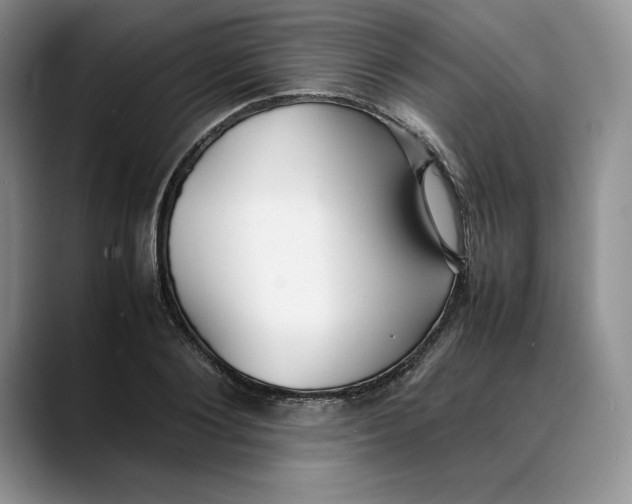 X0000088420884200706121430