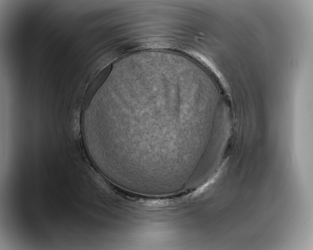 X0000088420889200706121430