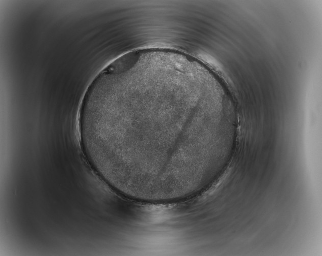 X0000088420892200706121430