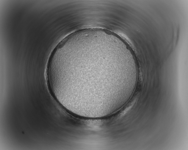 X0000088420893200706121430