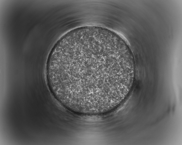 X0000088420895200706121430