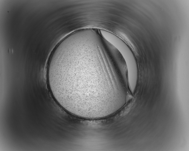 X0000088420900200706121430