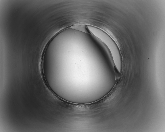 X0000088420901200706121430