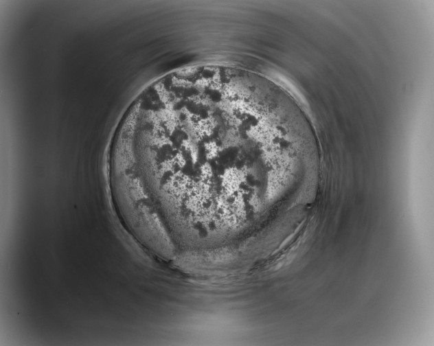 X0000088420907200706121430