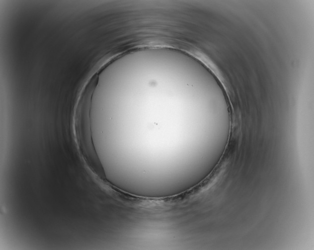 X0000088420909200706121430