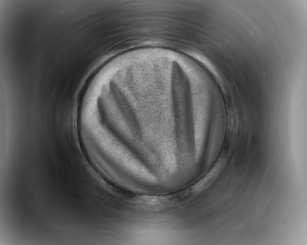 X0000088420910200706121430