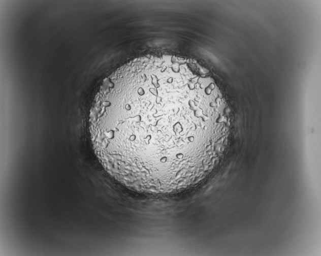 X0000088420917200706121430