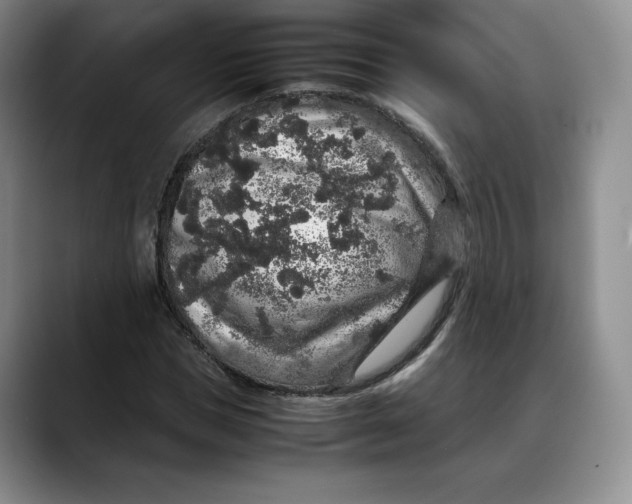 X0000088420921200706121430