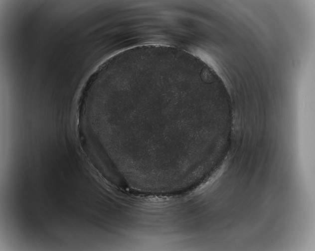 X0000088420923200706121430