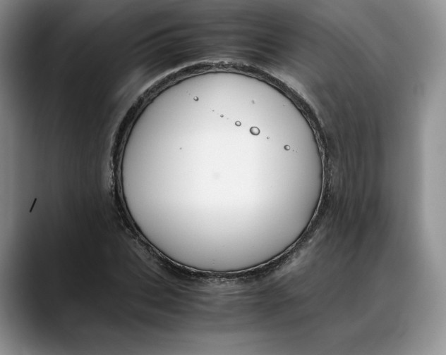 X0000088420927200706121430