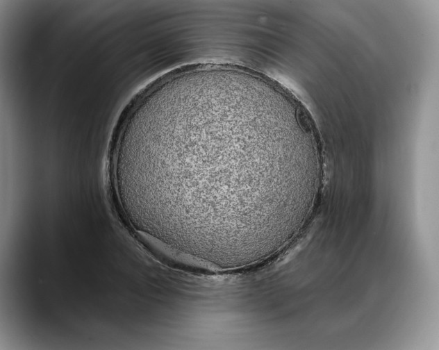 X0000088420928200706121430