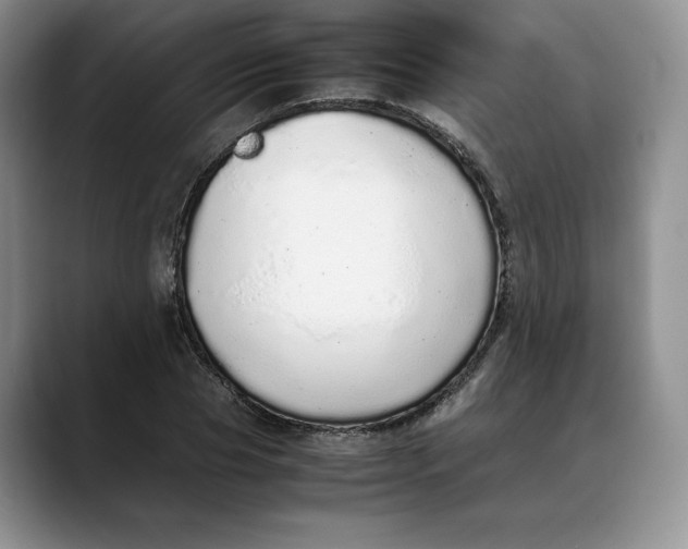X0000088420929200706121430