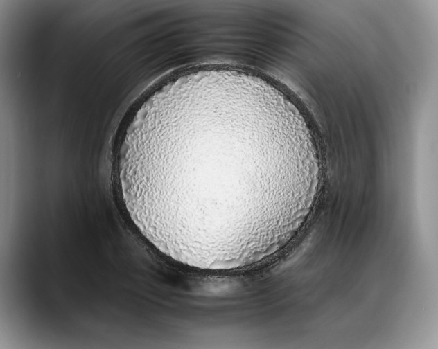 X0000088420933200706121430