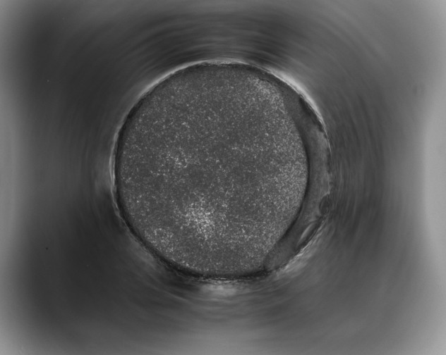 X0000088420935200706121430