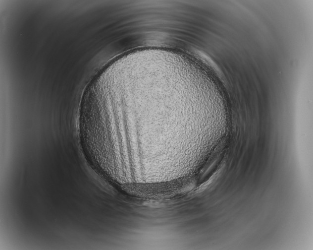 X0000088420938200706121430