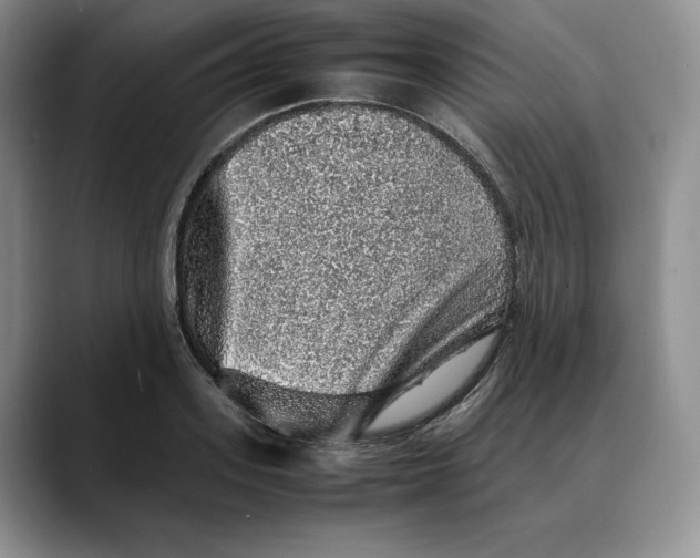 X0000088420939200706121430