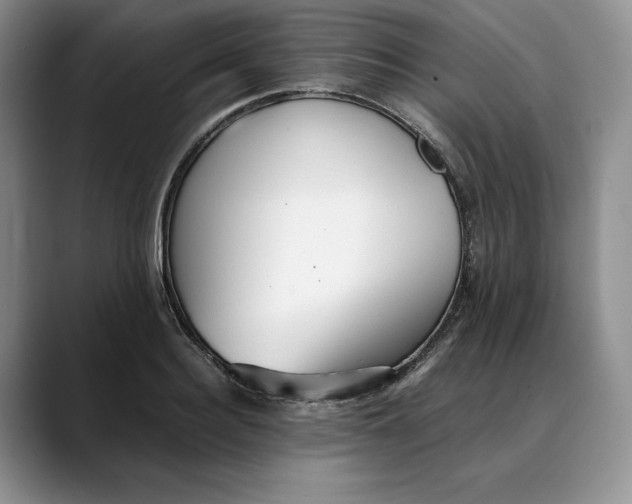 X0000088420940200706121430
