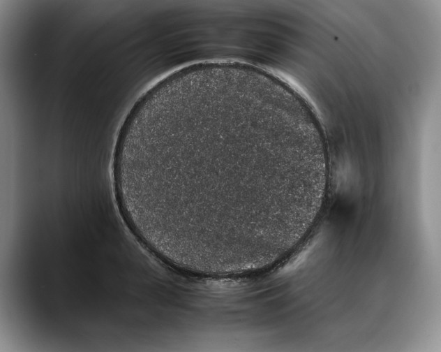 X0000088420943200706121430