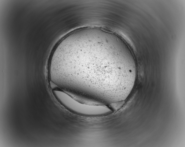 X0000088420944200706121430