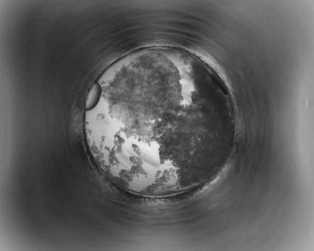 X0000088420945200706121430