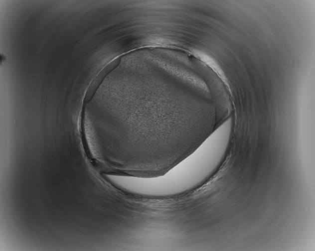 X0000088420946200706121430