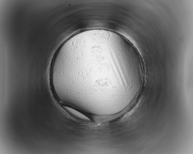 X0000088420949200706121430