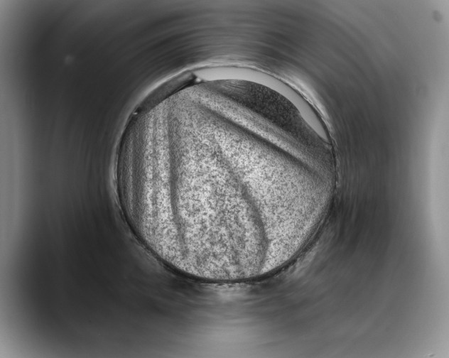 X0000088420952200706121430