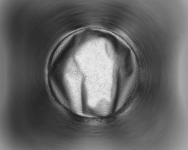 X0000088420955200706121430