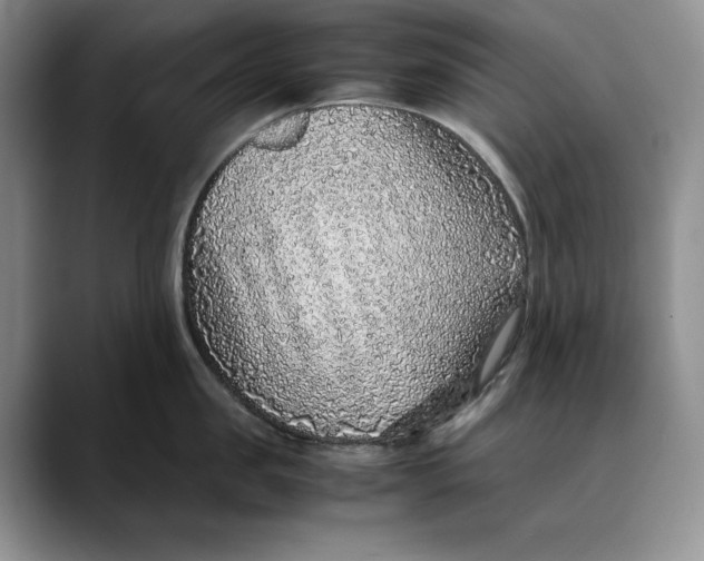 X0000088420957200706121430
