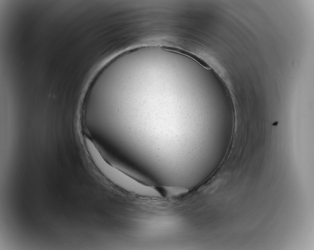 X0000088420960200706121430