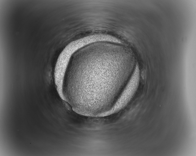 X0000088420963200706121429