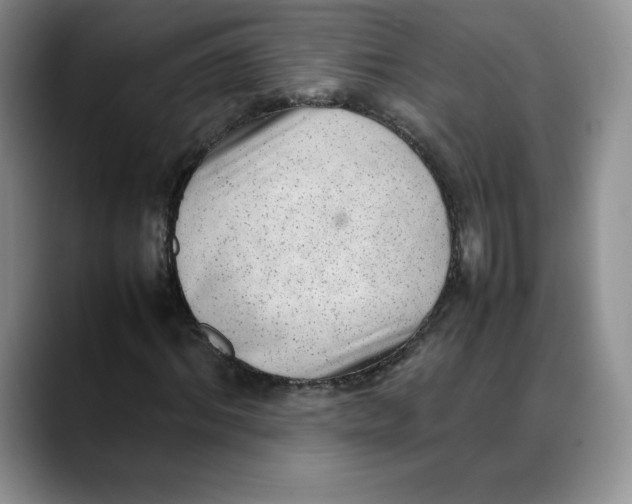 X0000088420964200706121429