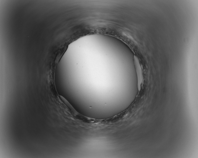 X0000088420965200706121429