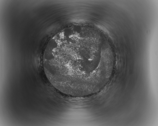 X0000088420966200706121429