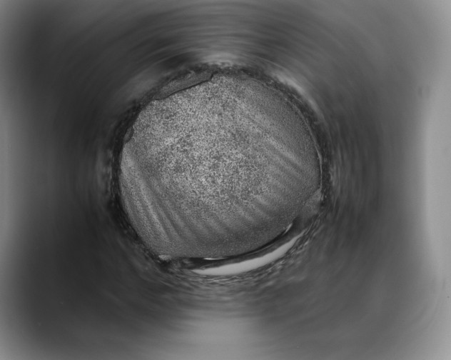 X0000088420968200706121429