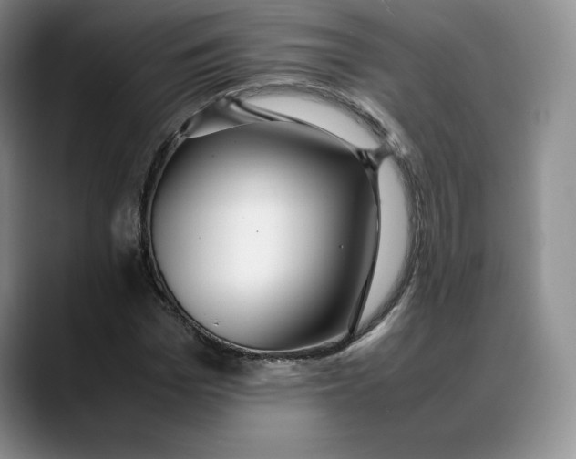 X0000088420969200706121429