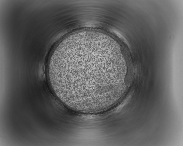 X0000088420970200706121429
