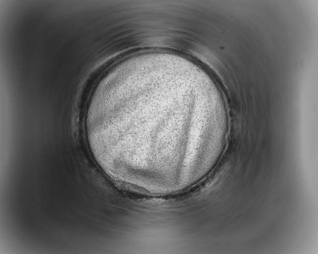 X0000088420971200706121429