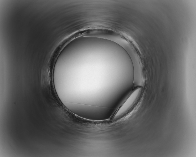 X0000088420973200706121429