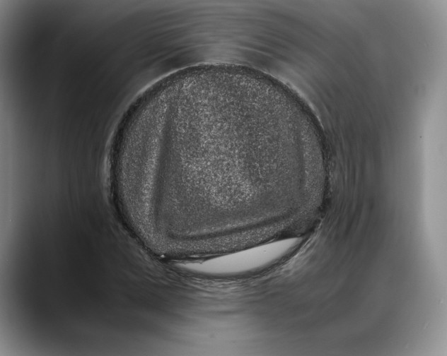 X0000088420975200706121429
