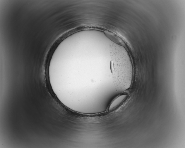 X0000088420976200706121429