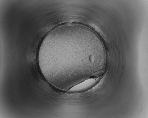 X0000088420977200706121429