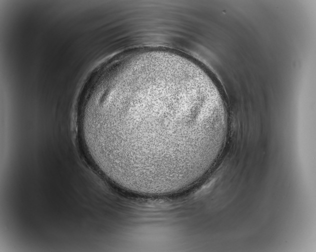 X0000088420979200706121429