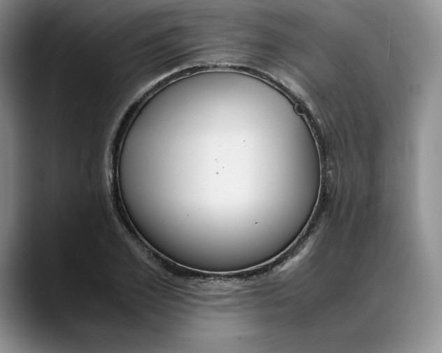 X0000088420981200706121429