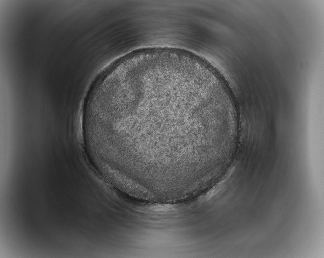 X0000088420982200706121429