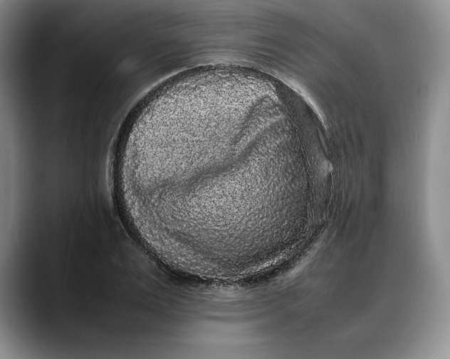 X0000088420983200706121429