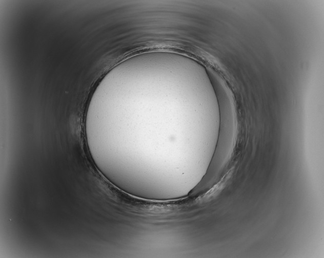 X0000088420985200706121429