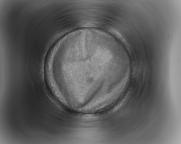 X0000088420986200706121429