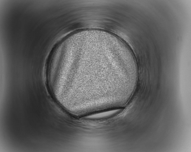 X0000088420987200706121429